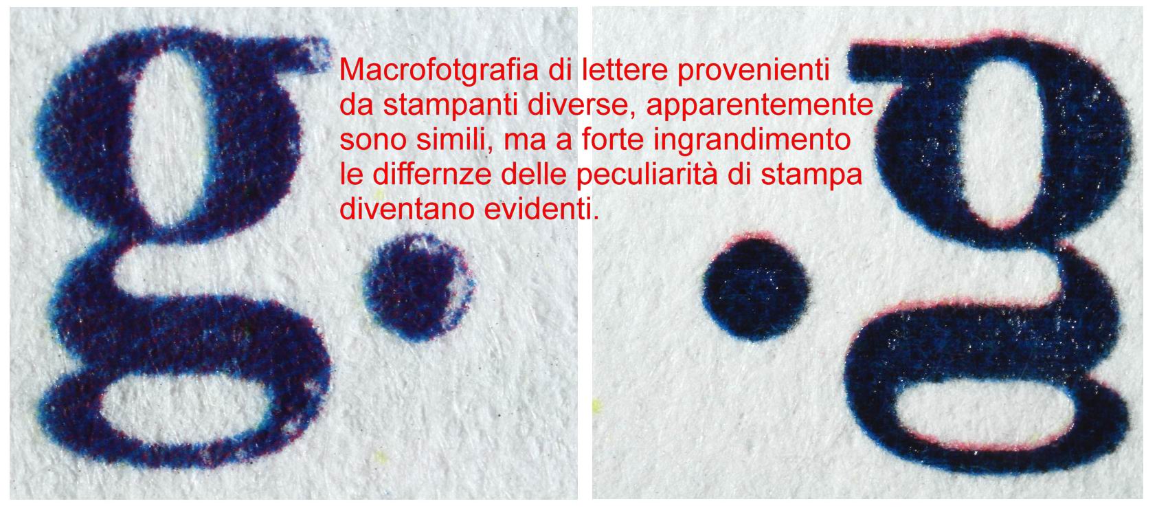 Verifica sulla omogeneità